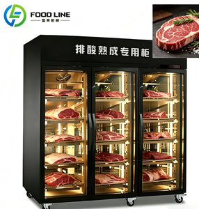 Armoire de maturation à sec pour bœuf, armoire de maturation à sec commerciale, réfrigérateur de maturation à sec pour <span class=keywords><strong>restaurant</strong></span> - Product Image 1
