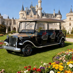 Nuevo Carro de Turismo Eléctrico de Alta Calidad, Estilo Vintage, Carro de Golf Retro Clásico, Vehículo Turístico en Venta - Product Image 2