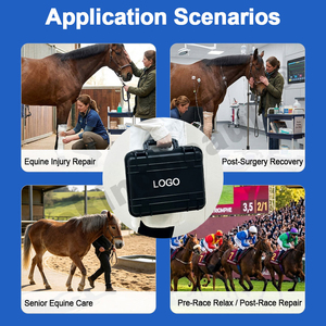 Appareil de thérapie par ondes de choc pour chevaux, portable, en <span class=keywords><strong>valise</strong></span>, pour centre équestre - Product Image 5