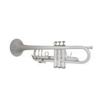 SEASOUND Professional White Trumpet JYTR409WH BB Tone with Gold Lacquer Surface OEM Brass Body Trompeta