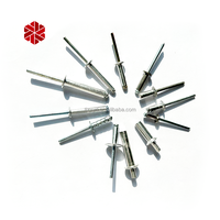 Rivet aveugle en acier à tête bombée multigriffe Gesipa SS304 SS316 pour l'installation de panneaux solaires