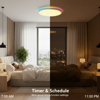 Plafonnier intelligent RGBCW Tuya Wifi pour Alexa, contrôle par application Google, commande vocale, plafonnier LED à intensité variable pour la maison