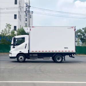 Precio de Fábrica Nuevo Camión Frigorífico Automático BYD Híbrido 4x2 LHD Diésel Euro 3 para Cadena de Frío y Alimentos Congelados 1-10T - Product Image 3