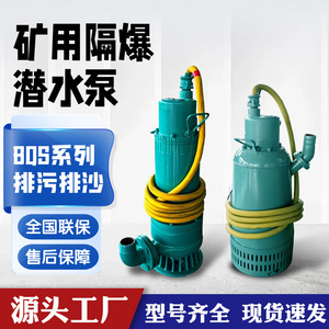 Bomba Sumergible para Arena a Prueba de Explosiones BQS de 7.5 HP, Eléctrica, Centrífuga, Conexión de Brida, Descarga de 1-1/2 Pulgadas, Cable de 25 M - Product Image 5
