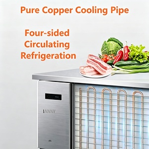 Réfrigérateur de Comptoir Premium en Acier Inoxydable pour Usage Professionnel en Boutiques, Cafés et Salons de Thé - Product Image 4