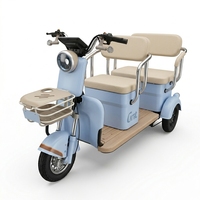 Tricycle électrique haute performance pour adultes, durable, à carrosserie ouverte, 2 places, pour les trajets quotidiens