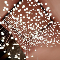 Lustre suspendu moderne en acrylique à plusieurs têtes, design artistique 'Star Shower', personnalisé pour salle de banquet, hôtel, villa et projets d'éclairage