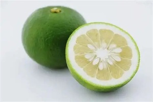 Синефрин HCL для похудения, чистый синефрин из цитрусовых, порошок синефрина 98%, CAS № 5985-28-4 - Product Image 3