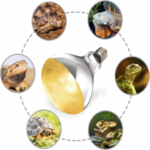 ReptiZoo Heat <span class=keywords><strong>UVB</strong></span> Lâmpada De Aquecimento 100W 160W <span class=keywords><strong>Uvb</strong></span> <span class=keywords><strong>Uva</strong></span> Lâmpada De Calor Mercury Vapor Lâmpada Lâmpada para Tartarugas Animais de estimação Wtih CE ROSH PSE - Product Image 2