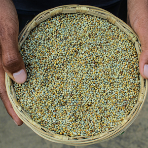 Perles de qualité supérieure supergrain - Product Image 1