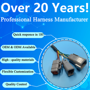 Maßgefertigte DTM DT Kabelkonfektion Kupferkern PVC 320mm JST 2 4 6 8 Pin Kabelbaum für ATV Dirt Bike Quad Go-Kart Motorrad - Product Image 6