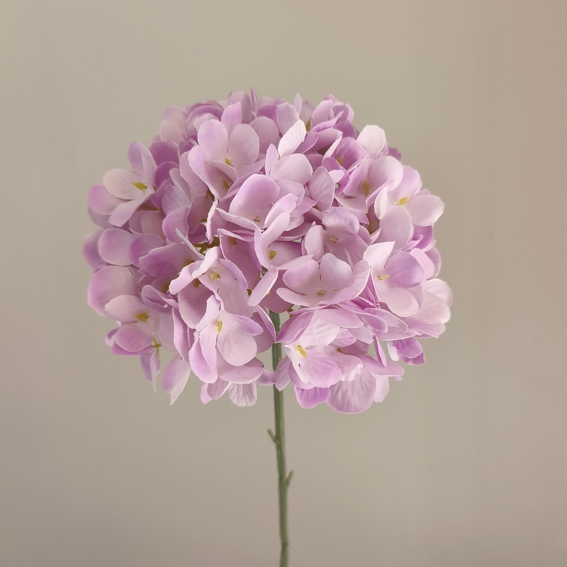 lightpurple