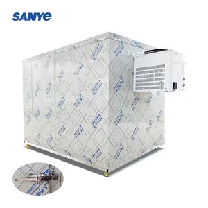 SANYE New design frozen beef meat fish freezer room/walk in freezer with condensing unit
