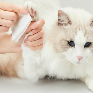 Les lingettes OEM pour animaux de compagnie peuvent être personnalisées pour nettoyer les oreilles des chiens et des chats (pain en forme d'<span class=keywords><strong>oreille</strong></span> de <span class=keywords><strong>chat</strong></span> cuit à la vapeur) - Product Image 4