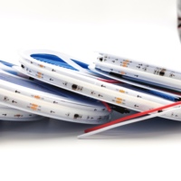 Bande lumineuse Cob DC12V 24V WS2811 pixel LED bande adressable 576 720 840led/m 10mm 12mm de large 5m 10 m/rouleau pour la décoration d'hôtel