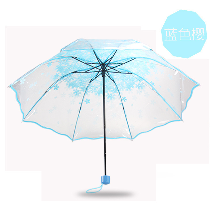 Apollon Sakura bleu