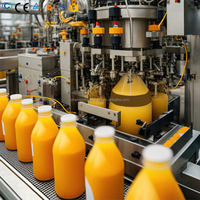 Ligne de production automatique de jus de mangue, ligne de traitement du jus de mangue