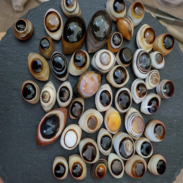 Polished Oval Agate Shiva Eye Gemstone Cabochons Natural Crystal Stones For Art Collectibles Healing