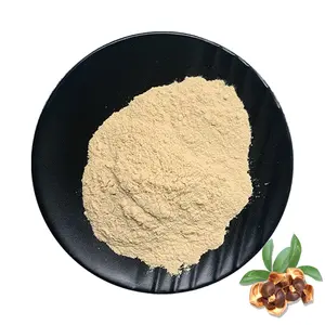 Tea Saponin Powder Wholesale Bulk Natural Organic Tea Seed Extract 90% Tea Saponin