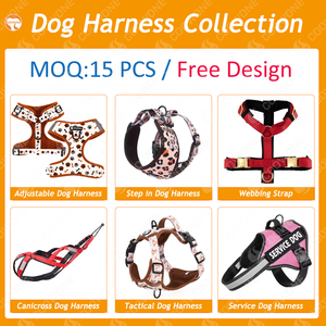 Coowone Fabrik's Bestseller Maßgefertigtes Neopren-Hundegeschirr und Leinenset Personalisiertes Welpenzubehör - Product Image 3