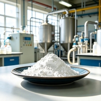 Fabricant chinois vend de la poudre d'hydroxyde de calcium de qualité industrielle à 95% en sacs de 25 kg