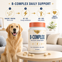 Complexe de vitamines B pour chiens, santé de la peau et du pelage, soutien du métabolisme énergétique, comprimés, 100 unités, soins quotidiens, OEM