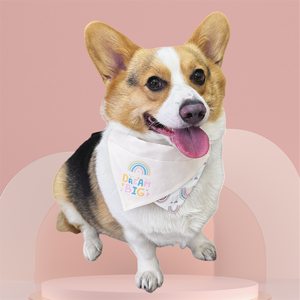 Personal isierte niedliche Regenbogen Druck Designer Farbkontrast Hund Bandana Hunde geschirr Halsband und Leine Set mit benutzer definierten Druck - Product Image 3