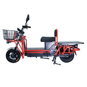 Bicicleta Eléctrica Zaizhongwang de 1000 Vatios de Largo Alcance con Llantas Anchas, Personalizable y Directo de Fábrica - Product Image 1