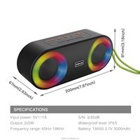 Enceinte portable BKK IP65 étanche BT 5.3 avec double haut-parleur, lumière RGB, AUX, USB, carte TF, enceinte de karaoké pour fêtes