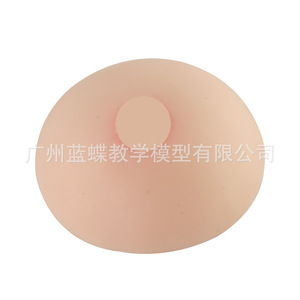 Formation des conseillères en lactation : seins artificiels médicaux en silicone souple, écoles professionnelles de services domestiques, hôpitaux - Product Image 1
