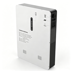 Sistema de Almacenamiento de Energía Solar Todo en Uno ASCEND de 1000W y 2009Wh, Montado en Pared, con Batería LiFePO4 para Emergencias en el Hogar - Product Image 6