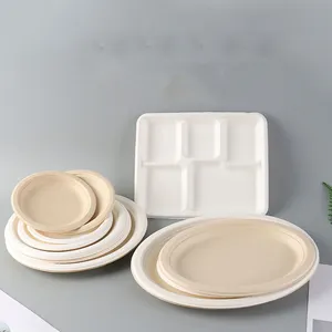 Disposable Packaging Paper Hinged Clamshell Lunch Plate Food Biodegradable 100% Natural Compostable Take Out Food Containers