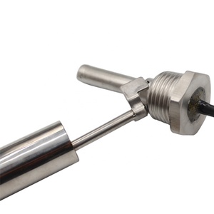 <span class=keywords><strong>Boya</strong></span> de <span class=keywords><strong>nivel</strong></span> emisor de tanque de <span class=keywords><strong>agua</strong></span> de montaje lateral para tanques de acero inoxidable 304 medidor de <span class=keywords><strong>nivel</strong></span> de caldera medición de <span class=keywords><strong>nivel</strong></span> - Product Image 2