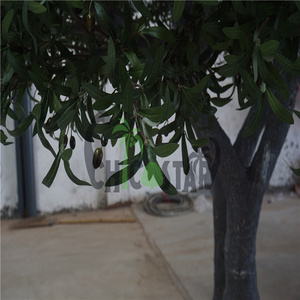 Vente <span class=keywords><strong>d</strong></span>'arbres artificiels, arbres artificiels à feuillage persistant, <span class=keywords><strong>olivier</strong></span> artificiel - Product Image 5