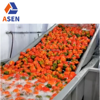 Commerciële Ozongroente Wasmachines Voor Groenten En Fruit Was-En Sorteermachines
