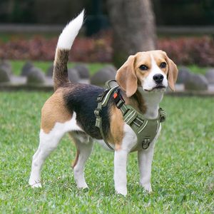 Harnais tactique réglable pour chien avec logo personnalisé, gilet réfléchissant, harnais anti-traction pour animaux de compagnie, vente en gros - Product Image 2