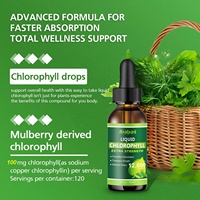 Gouttes liquides de chlorophylle de marque privée saveur de menthe 12000mg supplément booster pour la peau système de digestion prend en charge la fonction hépatique