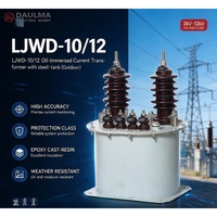 Transformateur de courant immergé dans l'huile LJWD-10 / LJWD-12 CT 10kV/12kV Classe 0.2/0.5/3/D
