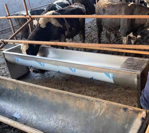 <span class=keywords><strong>Serbatoio</strong></span> di acqua potabile per bestiame riscaldato automatico per azienda lattiero-casearia - Product Image 5