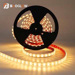 2835 DC 24V Flexible LED <b>Strip</b> Light Set 3000K-6000K Ra≥90 High Lumen IP65 Waterproof RGB for Living Room with <b>Copper</b> Body - Product Image 1
