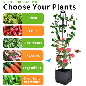 Bacs à <span class=keywords><strong>plantes</strong></span> surélevés avec treillis, jardinières pour tomates, <span class=keywords><strong>plantes</strong></span> <span class=keywords><strong>grimpantes</strong></span>, légumes, fleurs, <span class=keywords><strong>plantes</strong></span>, système d'arrosage automatique, cage à tomates - Product Image 4