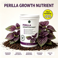 Nutrisi Khusus Perilla, Membuat Daun Ungu Lebih Tebal dan Lebat, Aroma Lebih Wangi