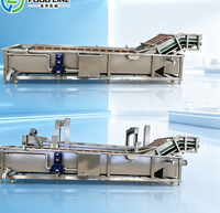 Automatische temperatuurregeling ozonwater voor fruitdesinfectie bubbelwasmachine