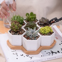 Pot de fleurs en céramique combiné à un support hexagonal en bambou pour plantes en pot
