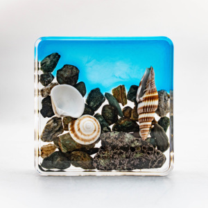 Биологический образец эхинодерма из смолы Бенджи, астероидный морской обитатель, коллекционный сувенир, украшение, декоративный элемент - Product Image 2