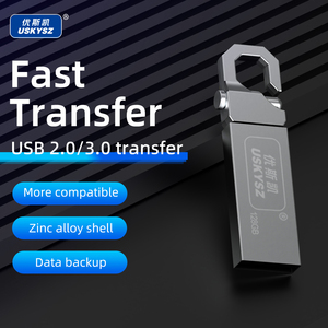 Chiavetta USB OEM <span class=keywords><strong>per</strong></span> <span class=keywords><strong>Computer</strong></span> da 1GB 2GB 4GB 8GB 16GB 32GB 64GB 128GB 256GB - Product Image 3