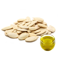 Vente en gros de graines de courge crues de toutes sortes, certifiées Halal, nouvelle récolte, biologiques, séchées, à peau brillante, en vrac
