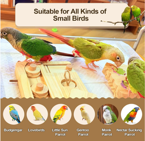 Jouets de recherche de nourriture pour oiseaux en bois FSC & BSCI, puzzle interactif pour <span class=keywords><strong>cage</strong></span>, jouets d'enrichissement d'oiseaux - Product Image 6