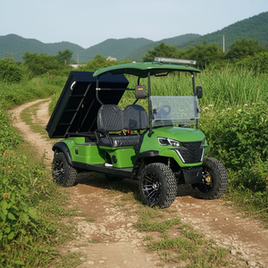 Carrito de Golf Eléctrico Personalizado de 2 Plazas, Homologado para Circular por la Calle, con Caja de Carga Trasera - Product Image 4