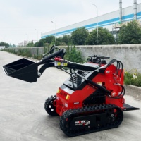 Mini bulldozer diesel à moteur essence, nettoyage, chargement de fumier, tri de fourrage, chargeuse compacte à bas prix en Chine, livraison gratuite